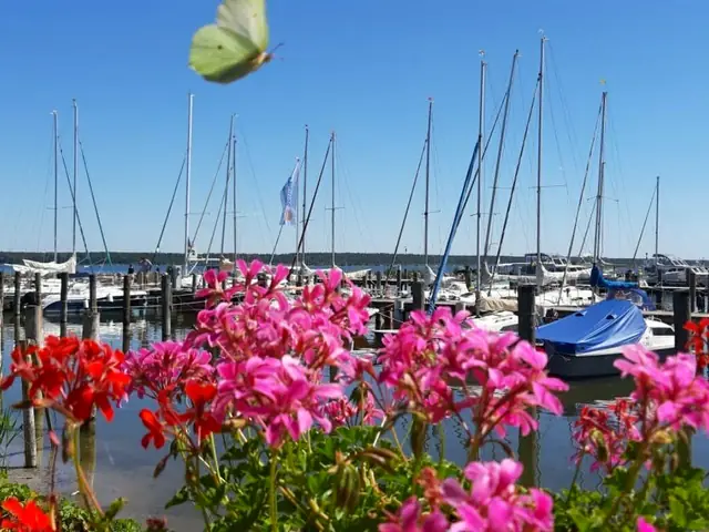 Yachthafen mit Blumen in der Mecklenburgischen Seenplatte